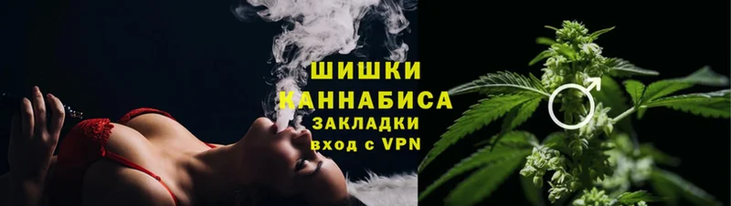 Конопля OG Kush  Корсаков 